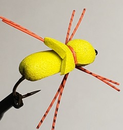Imagination Fly