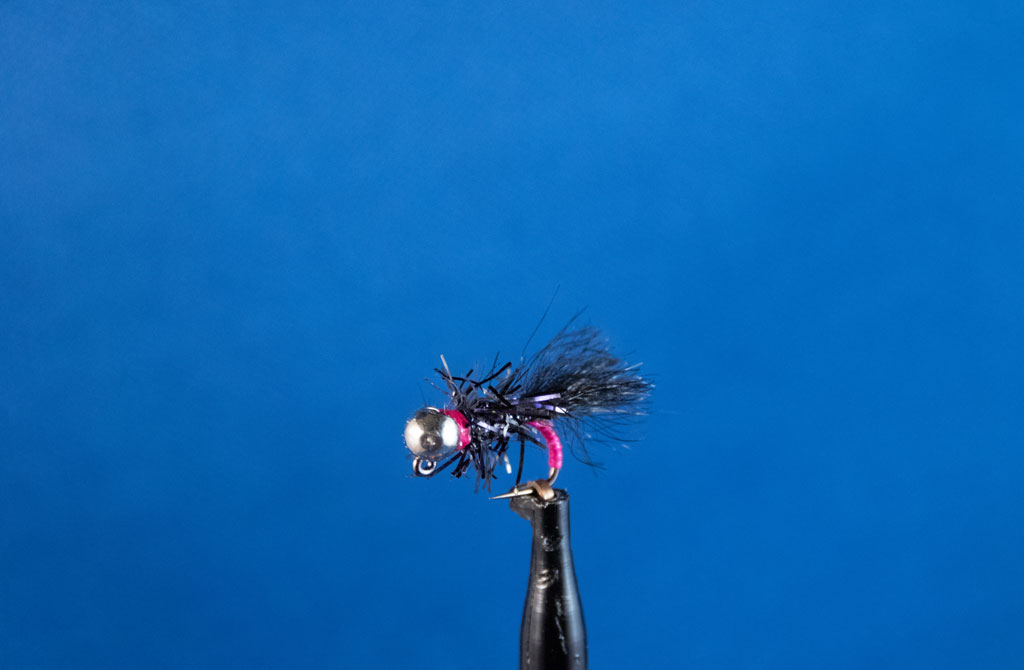 Danny Fly