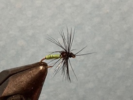 Green Caddis Pupa